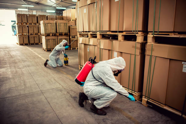 Best Mosquito Control Services  in Ara, AL