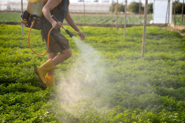 Best Local Pest Control Services  in Ara, AL
