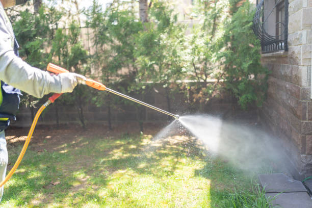 Best Spider Control Near Me  in Ara, AL