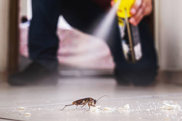 Reliable Ara, AL Pest Control Solutions