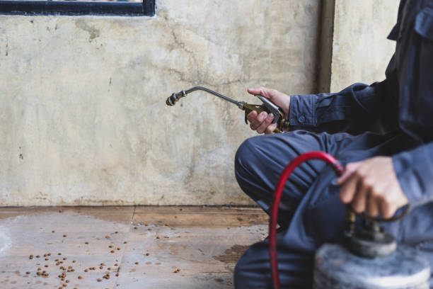 Best Cockroach Control Services  in Ara, AL